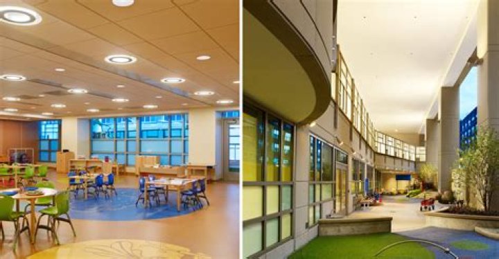 Discoveries And Insights On Bernice Lavin's Legacy