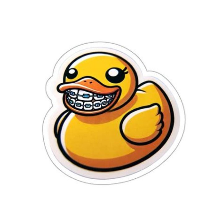 Unveiling The Hidden Struggles And Profound Rewards