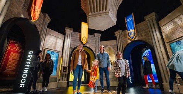 How To Get The Most Out Of Your Harry Potter Fandom Experience