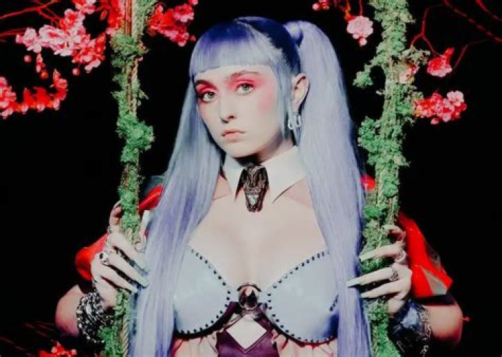 Is Ashnikko Gay? Her Journey of Exploring Her Gender and Orientation ·