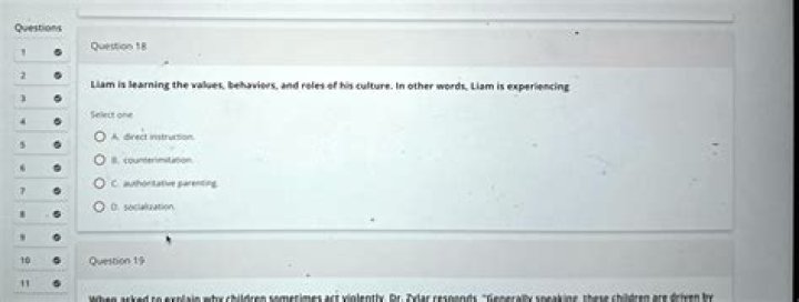 Liam's Quest For Values, Behaviors, And Roles