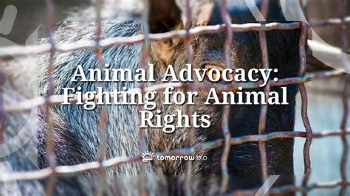 Love Story Actress, Three Marriages, and Advocacy for Animal Rights ·