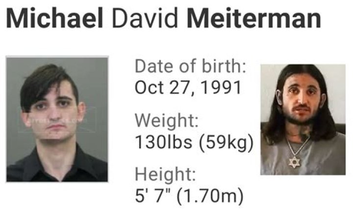 Discoveries And Insights Into Michael David Meiterman's World