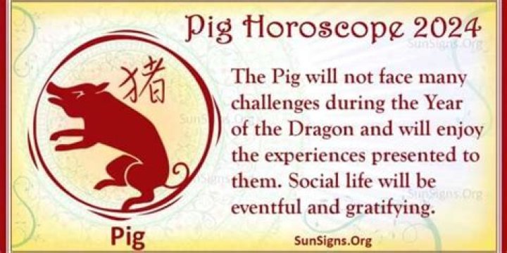 Pig Horoscope 2024 For Luck And Feng Shui