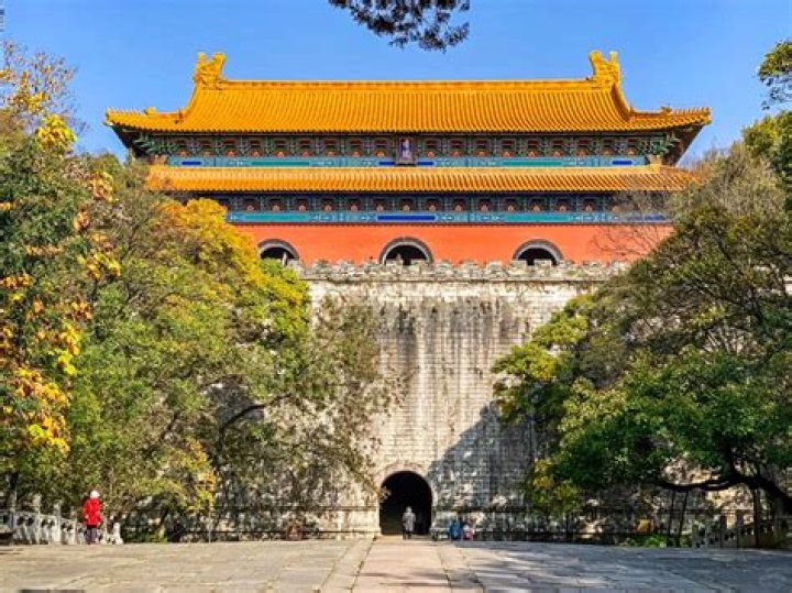 A Deep Dive Into His Wikipedia Net Worth