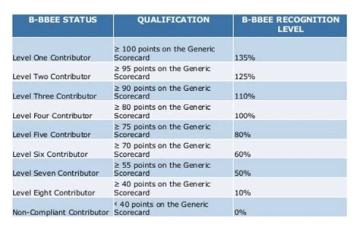 How To Understand Bee Bbbee Levels In South Africa: A 2024 Guide
