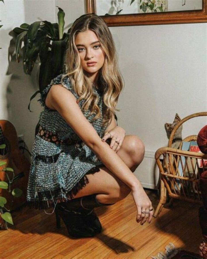 Unveiling The Star Behind Nickelodeon's Lizzy Greene: Insights And Discoveries